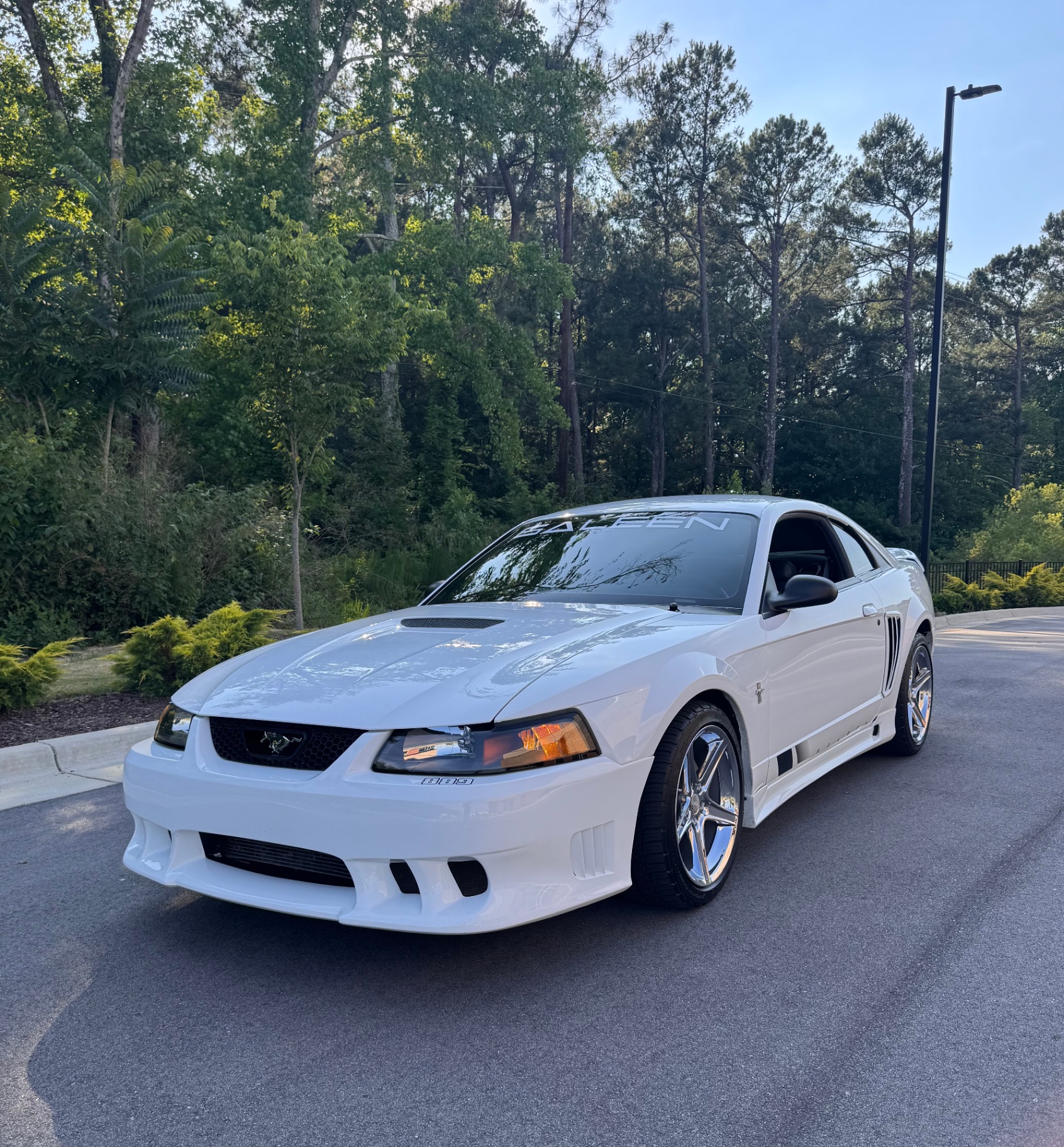 Saleen Mustang